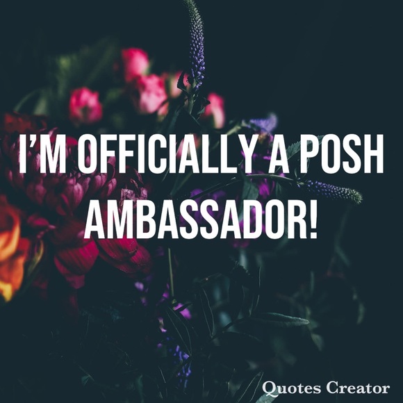 Please Read First! Meet Your Posher & Closet FAQ - Picture 3 of 8